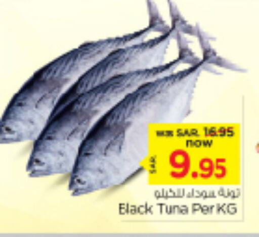  Tuna  in Nesto in KSA, Saudi Arabia, Saudi - Riyadh