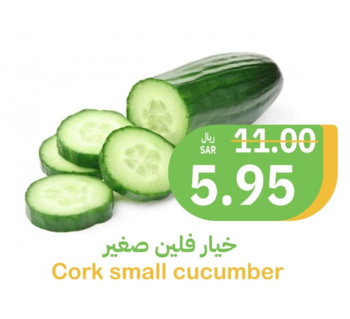  Cucumber  in Qateba Markets in KSA, Saudi Arabia, Saudi - Buraidah