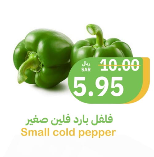  Chilli / Capsicum  in Qateba Markets in KSA, Saudi Arabia, Saudi - Buraidah