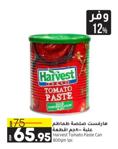  Tomato Paste  in Lulu Hypermarket  in Egypt - Cairo