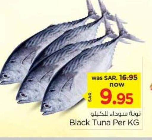  Tuna  in Nesto in KSA, Saudi Arabia, Saudi - Riyadh