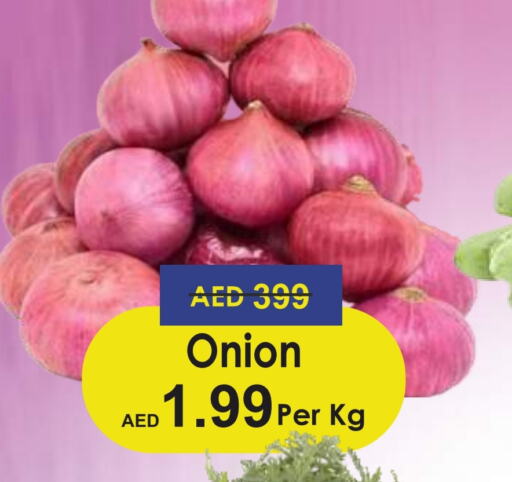  Onion  in Palm Centre LLC in UAE - Sharjah / Ajman