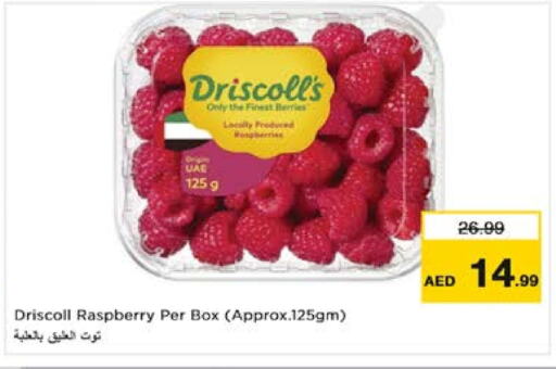  Berries  in Nesto Hypermarket in UAE - Dubai