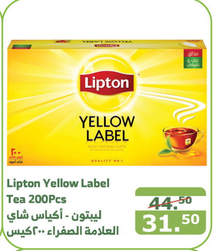 Lipton