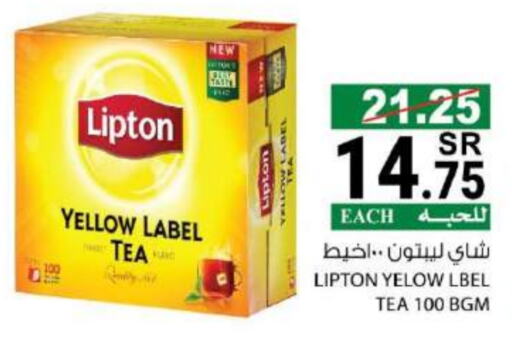 Lipton