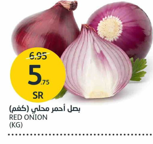 Onion