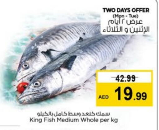  King Fish  in Last Chance  in UAE - Sharjah / Ajman