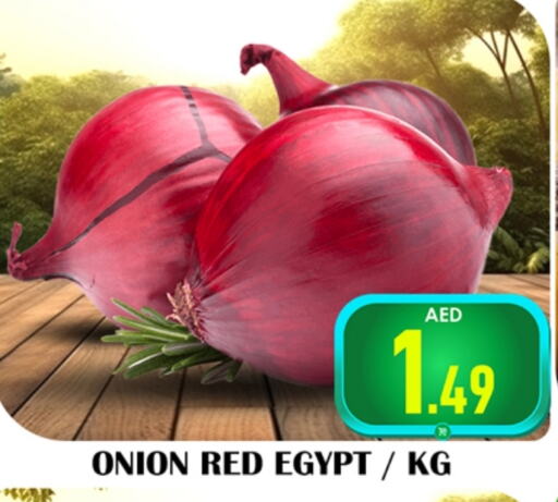  Onion  in Souk Al Mubarak Hypermarket in UAE - Sharjah / Ajman