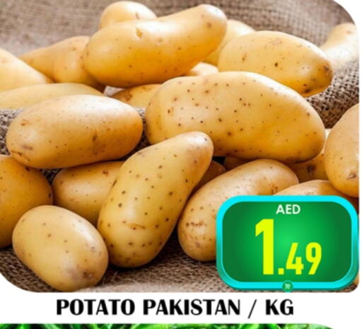  Potato  in Souk Al Mubarak Hypermarket in UAE - Sharjah / Ajman