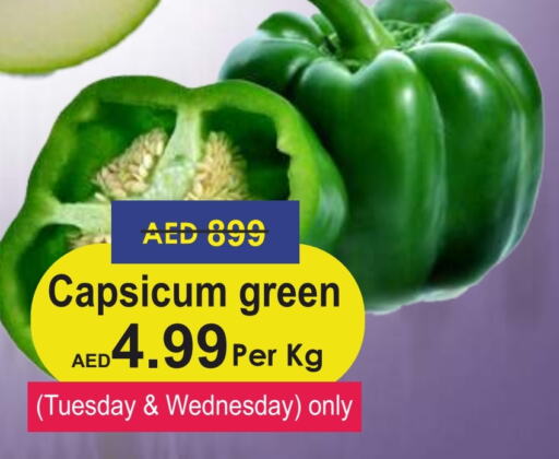  Chilli / Capsicum  in Palm Centre LLC in UAE - Sharjah / Ajman