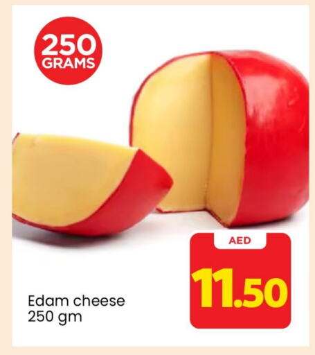  Edam  in Mark & Save Value Retail in UAE - Dubai