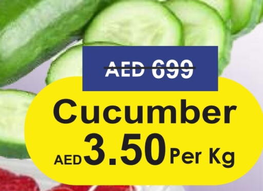  Cucumber  in Palm Centre LLC in UAE - Sharjah / Ajman