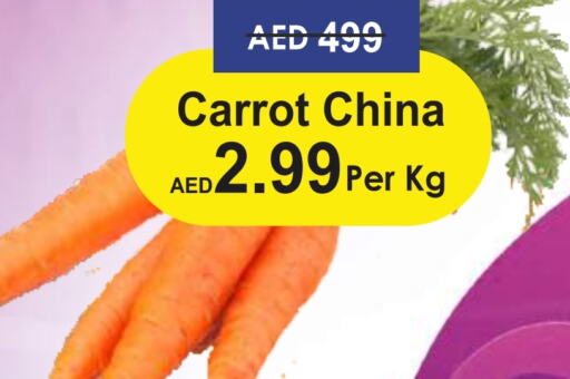  Carrot  in Palm Centre LLC in UAE - Sharjah / Ajman