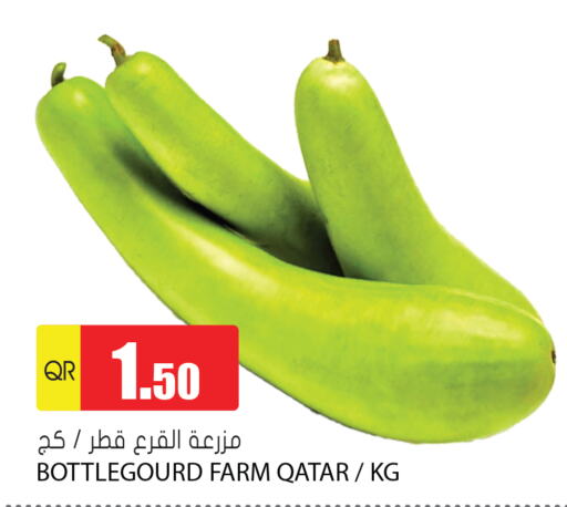  Bottlegourd  in Grand Hypermarket in Qatar - Doha