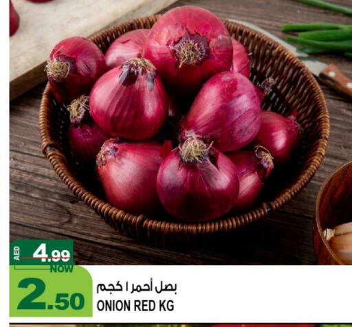  Onion  in Hashim Hypermarket in UAE - Sharjah / Ajman