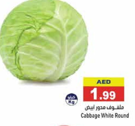 Cabbage