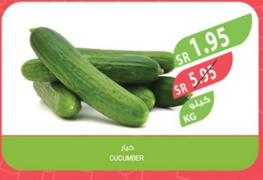 Cucumber