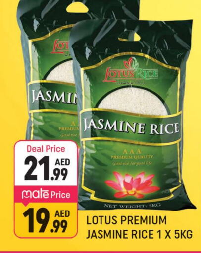  Jasmine Rice  in Shaklan  in UAE - Dubai