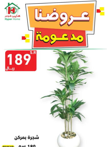    in هايبر هوم in مملكة العربية السعودية, السعودية, سعودية - جازان