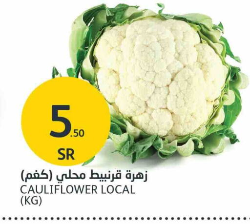 Cauliflower