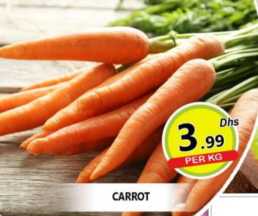  Carrot  in AL MADINA (Dubai) in UAE - Dubai