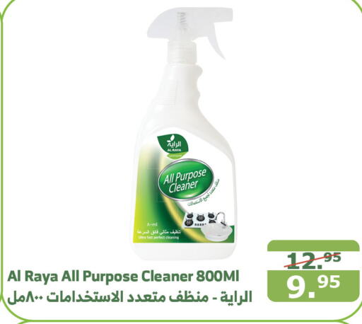  General Cleaner  in Al Raya in KSA, Saudi Arabia, Saudi - Al Bahah