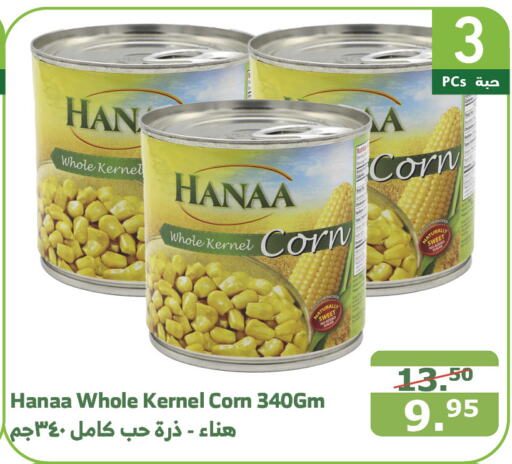 Hanaa   in Al Raya in KSA, Saudi Arabia, Saudi - Al Bahah