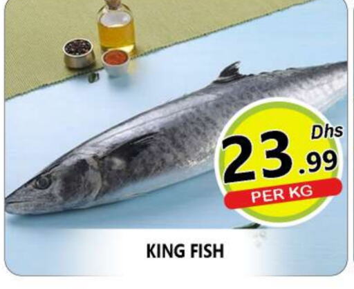  King Fish  in AL MADINA (Dubai) in UAE - Dubai