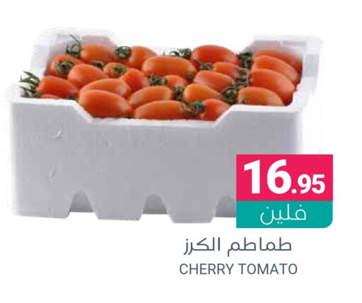  Tomato  in Muntazah Markets in KSA, Saudi Arabia, Saudi - Dammam