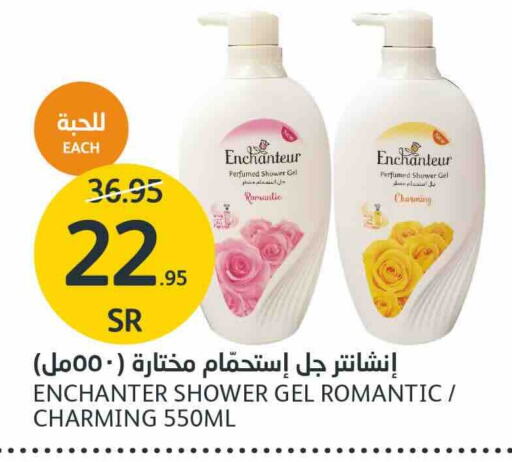 Enchanteur