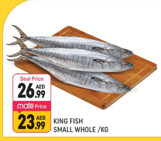  King Fish  in Shaklan  in UAE - Dubai