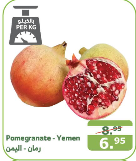  Pomegranate  in Al Raya in KSA, Saudi Arabia, Saudi - Jazan