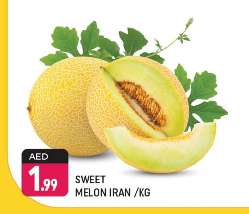  Sweet melon  in Shaklan  in UAE - Dubai