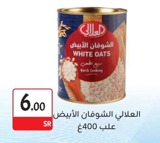 AL ALALI Oats  in M B S S in KSA, Saudi Arabia, Saudi - Medina