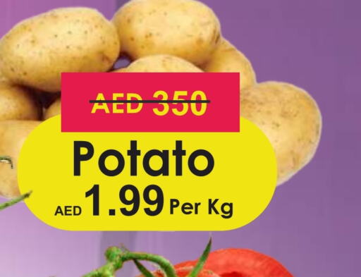  Potato  in Palm Centre LLC in UAE - Sharjah / Ajman