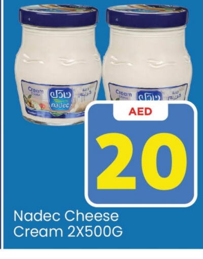 NADEC Cream Cheese  in Mark & Save Value Retail in UAE - Dubai