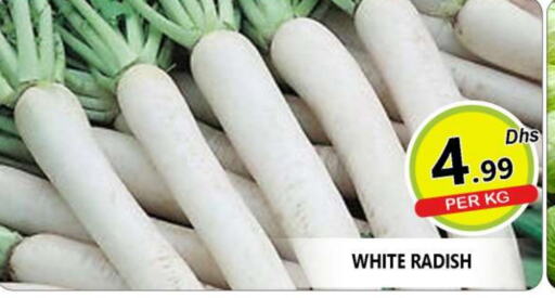  Radish  in AL MADINA (Dubai) in UAE - Dubai