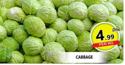  Cabbage  in AL MADINA (Dubai) in UAE - Dubai