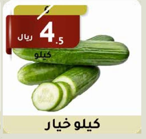 Cucumber