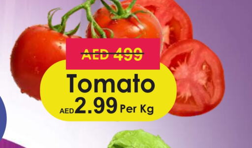  Tomato  in Palm Centre LLC in UAE - Sharjah / Ajman