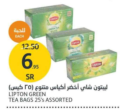 Lipton