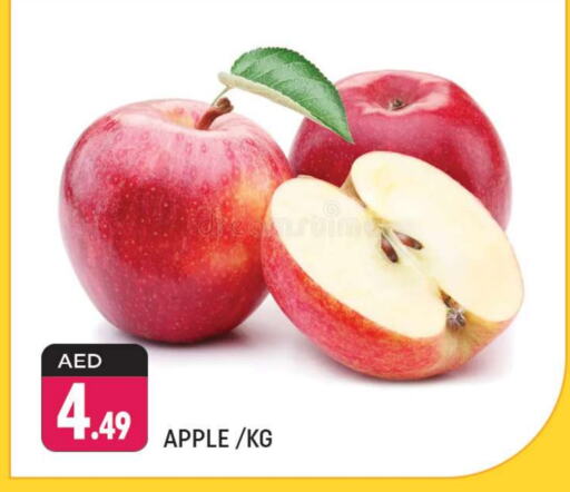  Apples  in Shaklan  in UAE - Dubai