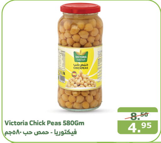  Chick Peas  in Al Raya in KSA, Saudi Arabia, Saudi - Yanbu