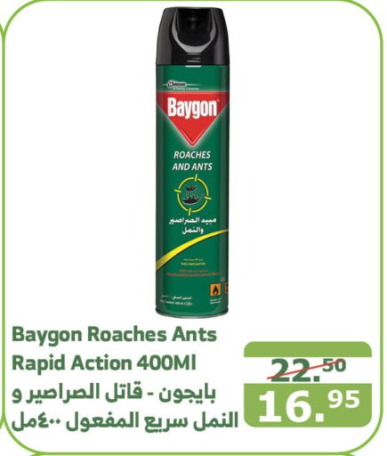 BAYGON