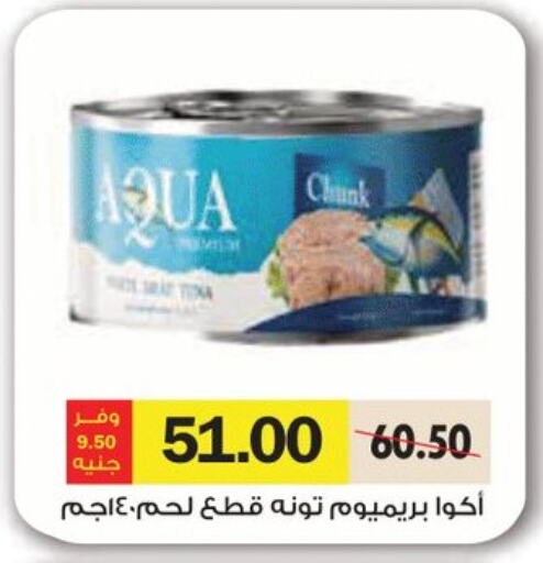  Tuna - Canned  in Royal House in Egypt - Cairo