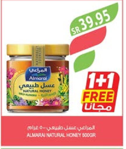 ALMARAI Honey  in Farm  in KSA, Saudi Arabia, Saudi - Al Khobar