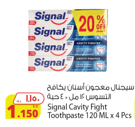 SIGNAL Toothpaste  in Agricultural Food Products Co. in Kuwait - Kuwait City