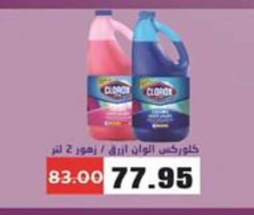 CLOROX General Cleaner  in Zaher Dairy in Egypt - Cairo