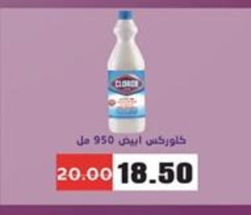 CLOROX General Cleaner  in Zaher Dairy in Egypt - Cairo