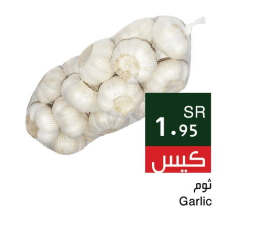 Garlic